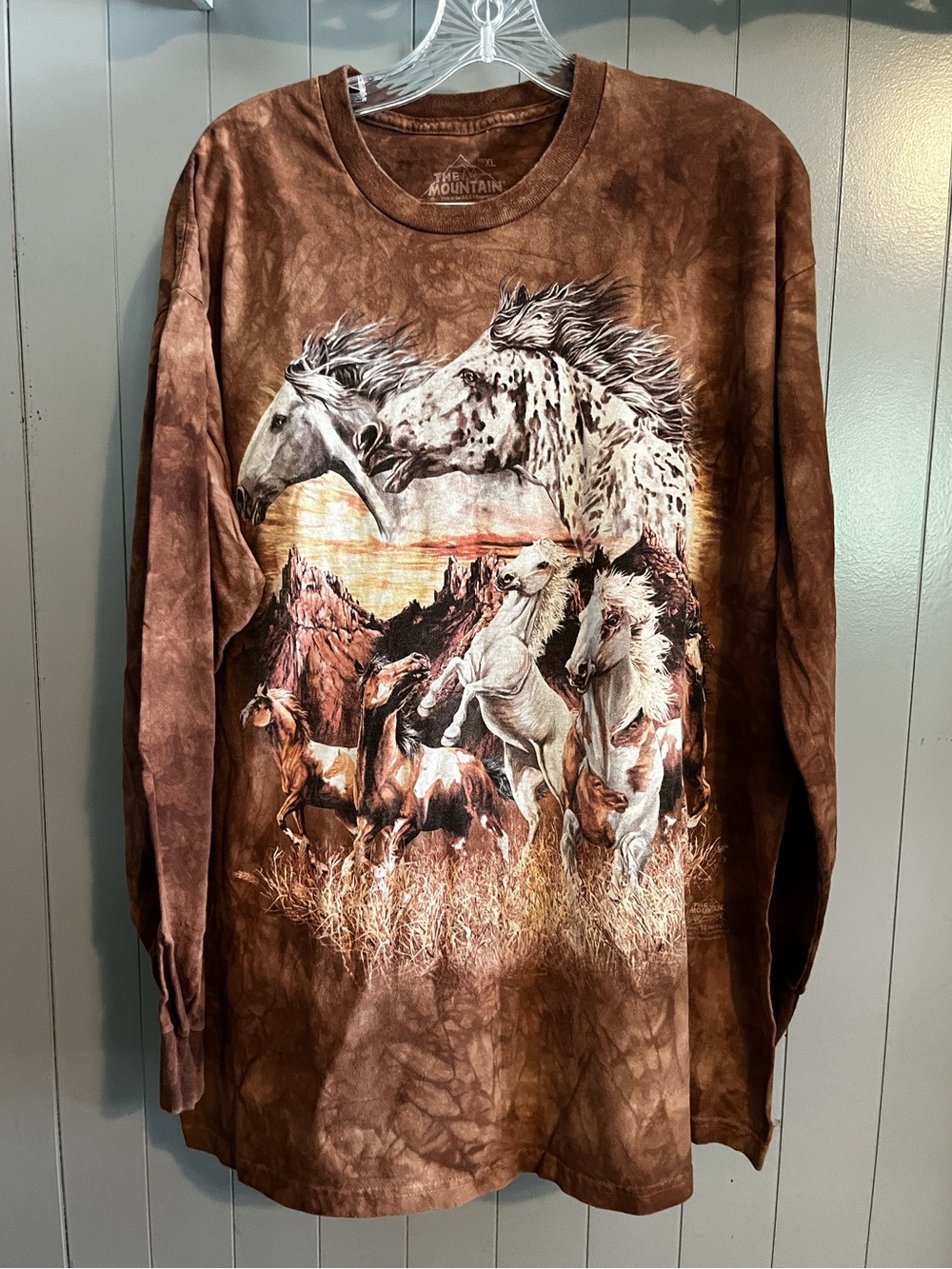 The Mountian “Find 15 Horses” Tye Dye Long sleeve Tshirt